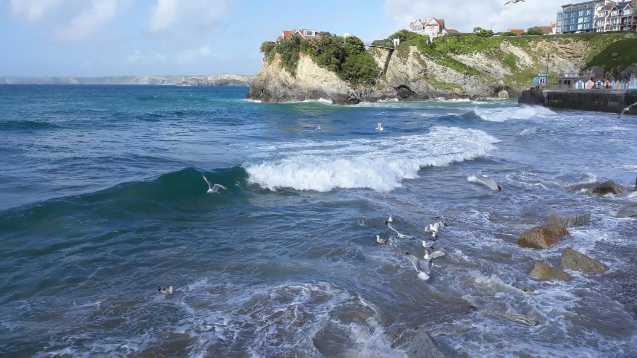 Blue Room Hostel Newquay New Quay Dış mekan fotoğraf