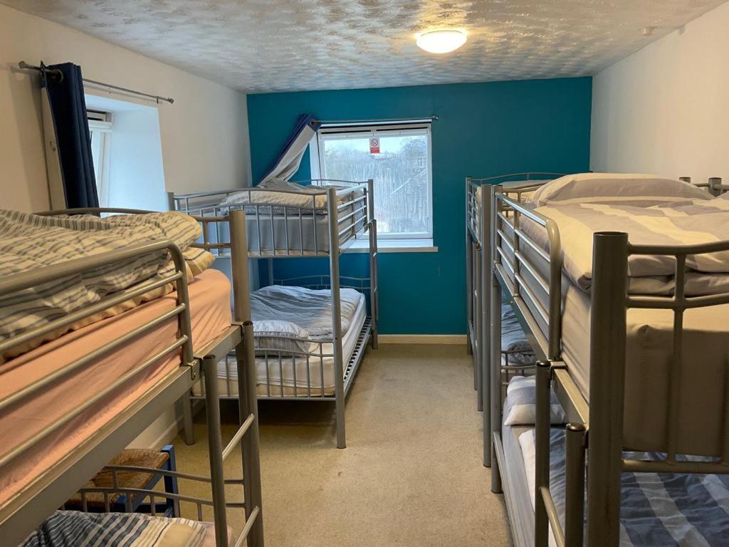 Blue Room Hostel Newquay New Quay Dış mekan fotoğraf