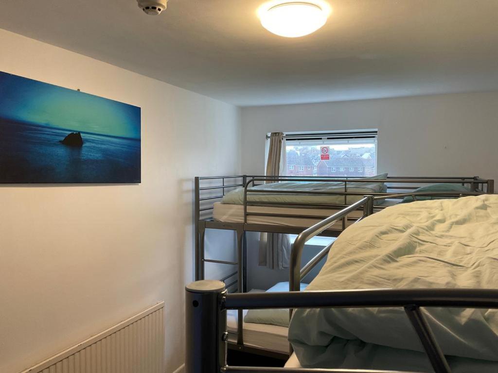 Blue Room Hostel Newquay New Quay Dış mekan fotoğraf
