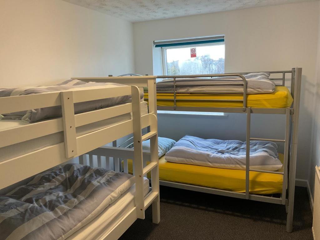 Blue Room Hostel Newquay New Quay Dış mekan fotoğraf